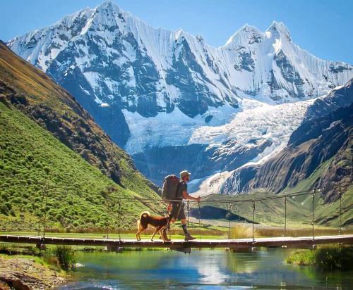 Person and dog crossing bridge